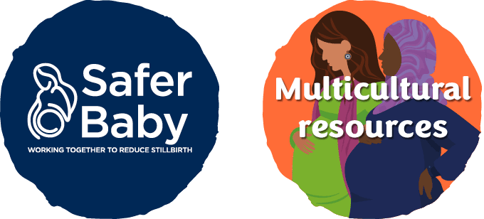 2 spots_v2 Safer Baby and Multicultural resources images which link to there corresponding websites.